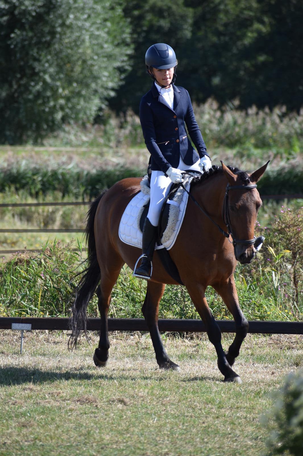 Betrouwbare ruiter zoekt verzorg/lease pony, Dieren en Toebehoren, Ophalen of Verzenden, Nieuw