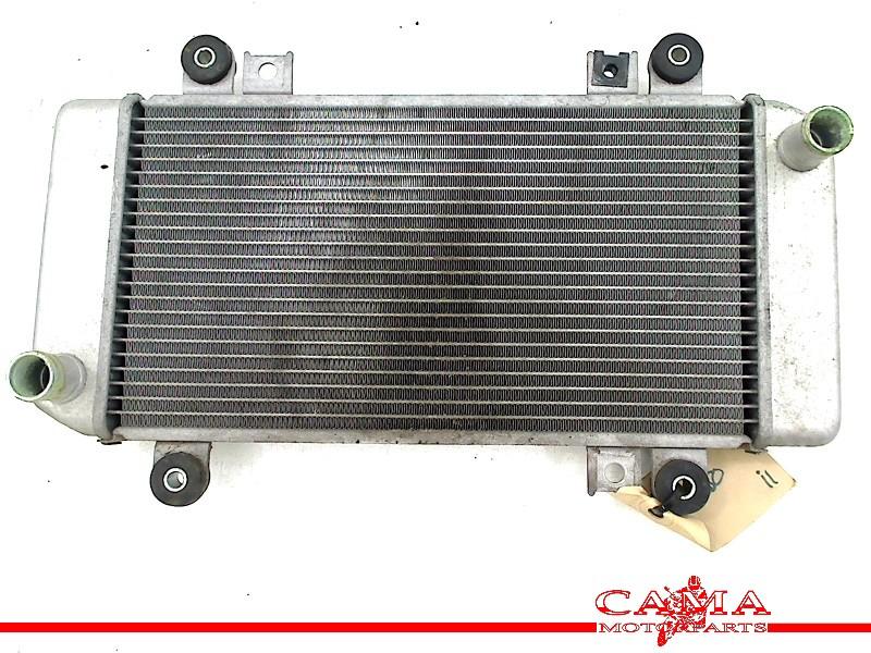 Radiateur Kawasaki ZX 250 R (Ninja ZX250R) 2011 220003741, Kawasaki Motors Europe N.V., Gebruikt, Info@kawasaki.eu, Jacobus Spijkerdreef 1-3, Hoofddorp 2132 PZ, , Japan
