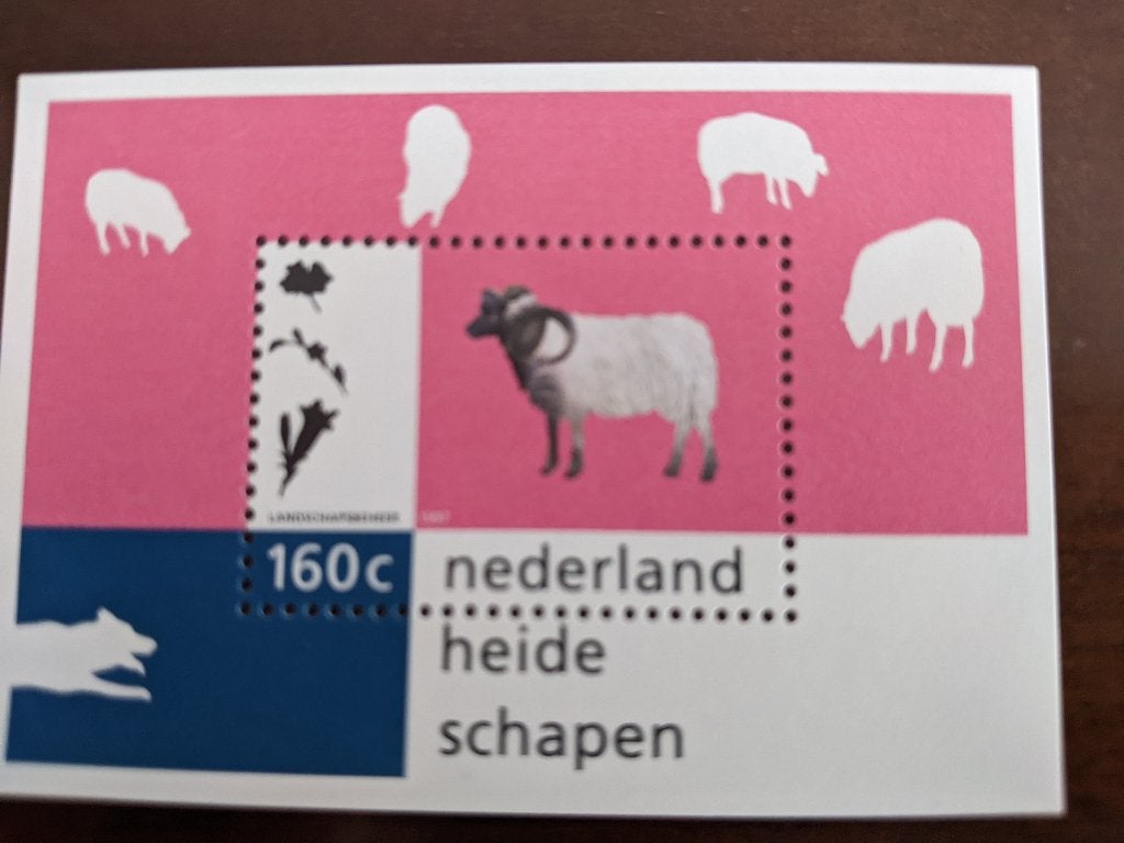 NL 1997; BLOK Natuur en Milieu DRENTS HEIDESCHAAP, Ophalen of Verzenden, Postfris, Dier of Natuur