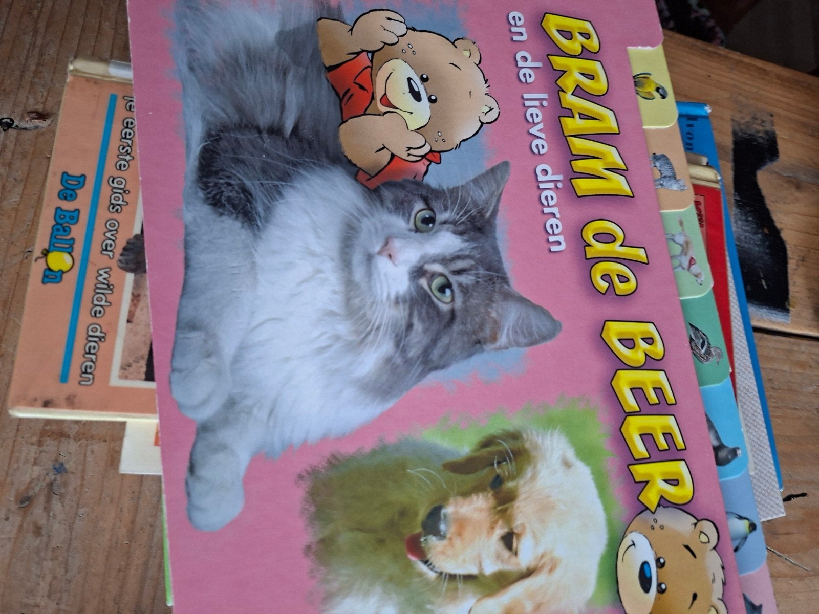 Bram de Beer en de lieve dieren & De Ballon, Ophalen of Verzenden