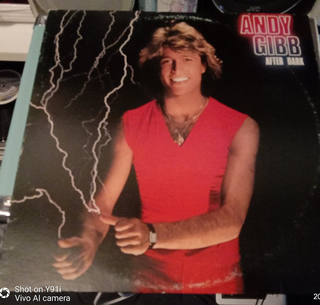 lp Andy Gibb – After Dark, Cd's en Dvd's, Ophalen of Verzenden, Zo goed als nieuw, 12 inch