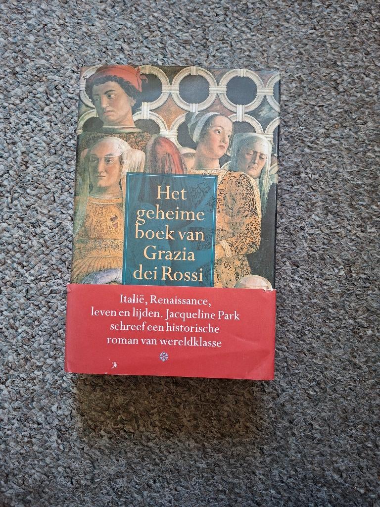 Het geheime boek van Grazia dei Rossi/ historische roman, Ophalen of Verzenden, Gelezen, Jacqueline Park