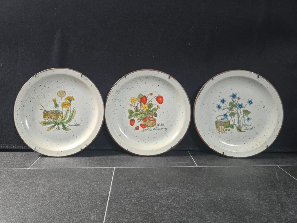 Vintage bordjes, Ophalen of Verzenden, Bord
