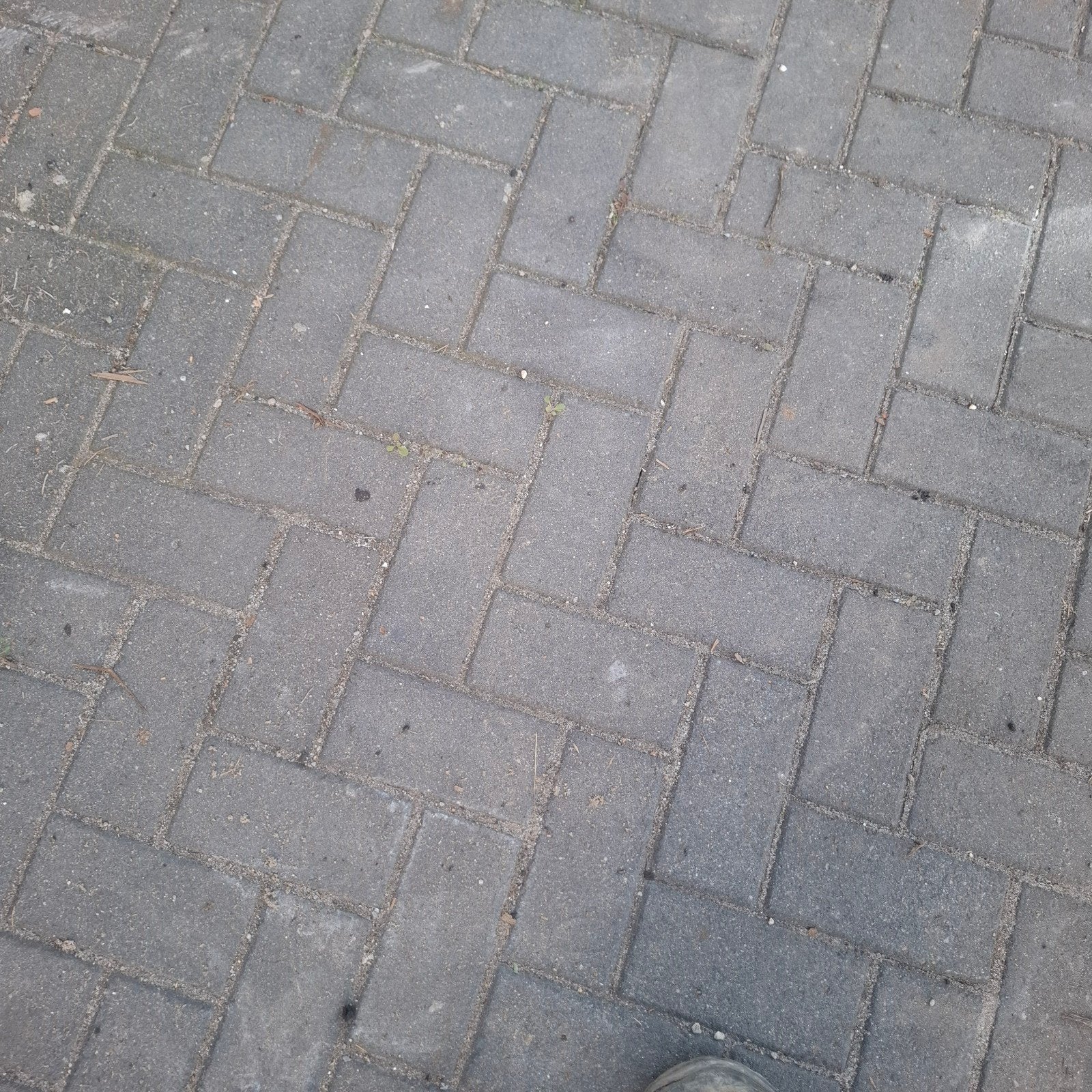 Gebruikte betonnen klinkers antraciet, Gebruikt, Klinkers, Ophalen of Verzenden, 10 m² of meer