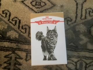 Kwartetspel van Royal Canin (nieuw), Ophalen of Verzenden, Nieuw, Kwartet(ten)