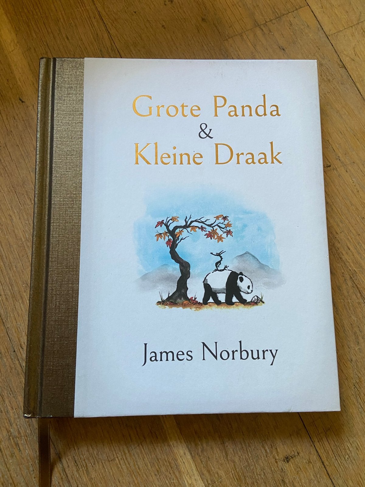 Grote Panda & Kleine Draak - James Norbury (Boek), Boeken, Ophalen of Verzenden, Zo goed als nieuw