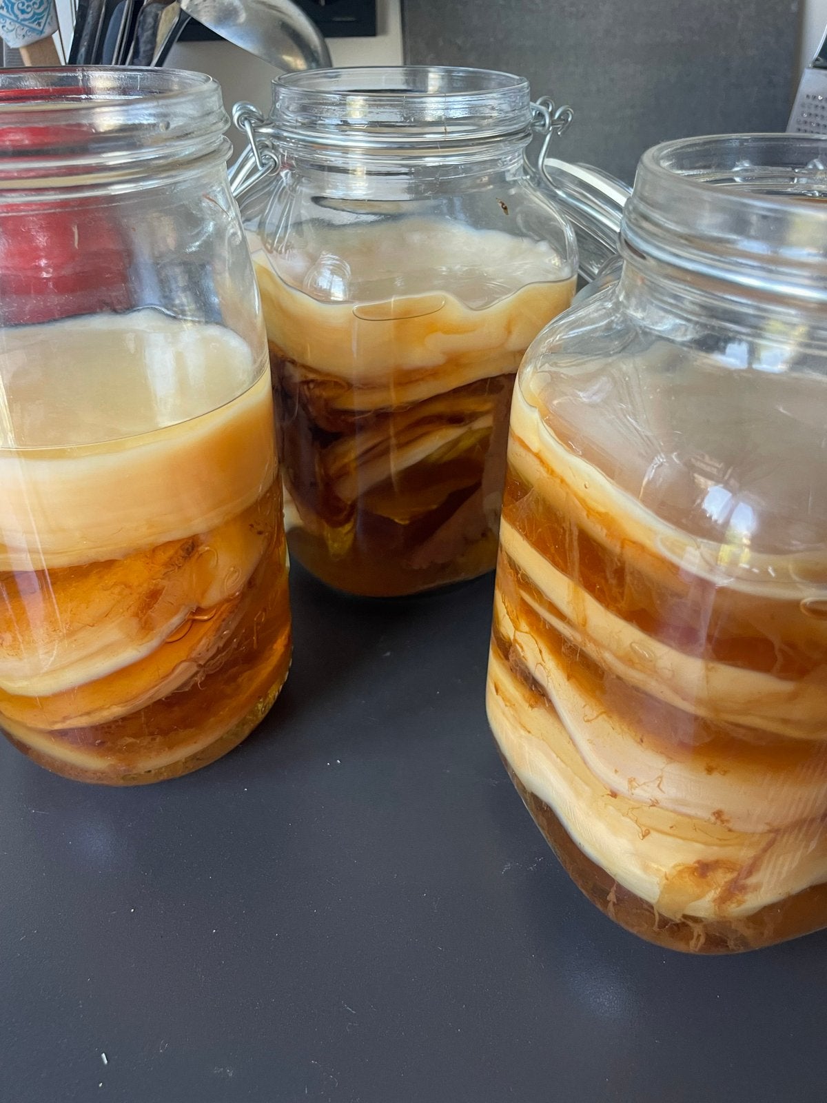 Scoby om zelf kombucha te maken, Ophalen