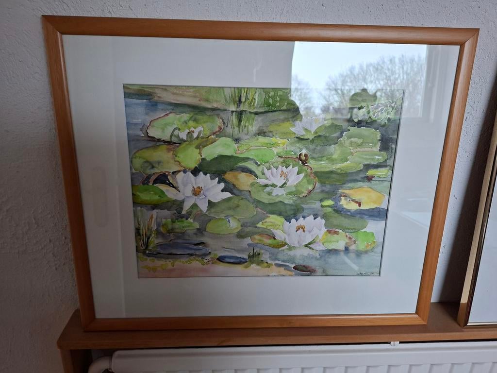Aquarel Waterlelies, Ophalen