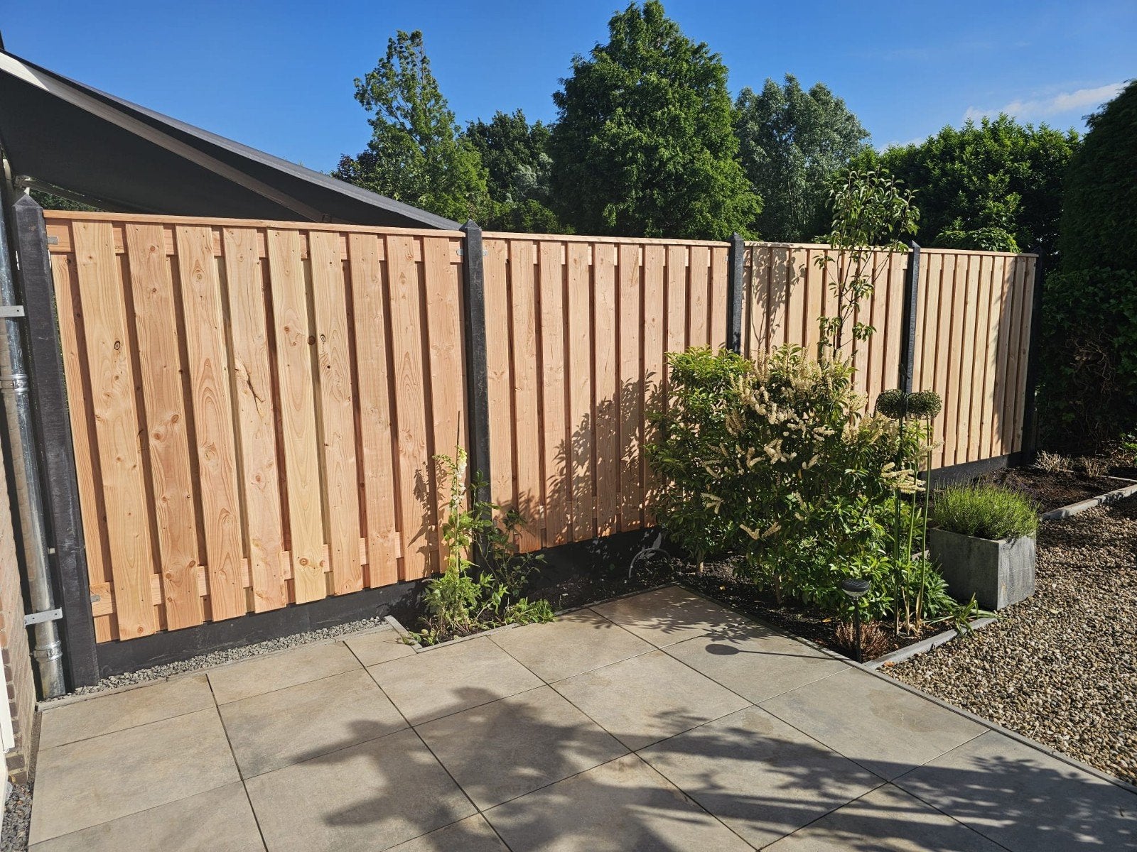 Douglas schuttingen, Tuin en Terras, Ophalen of Verzenden, Hout, Minder dan 3 meter, 1 tot 2 meter