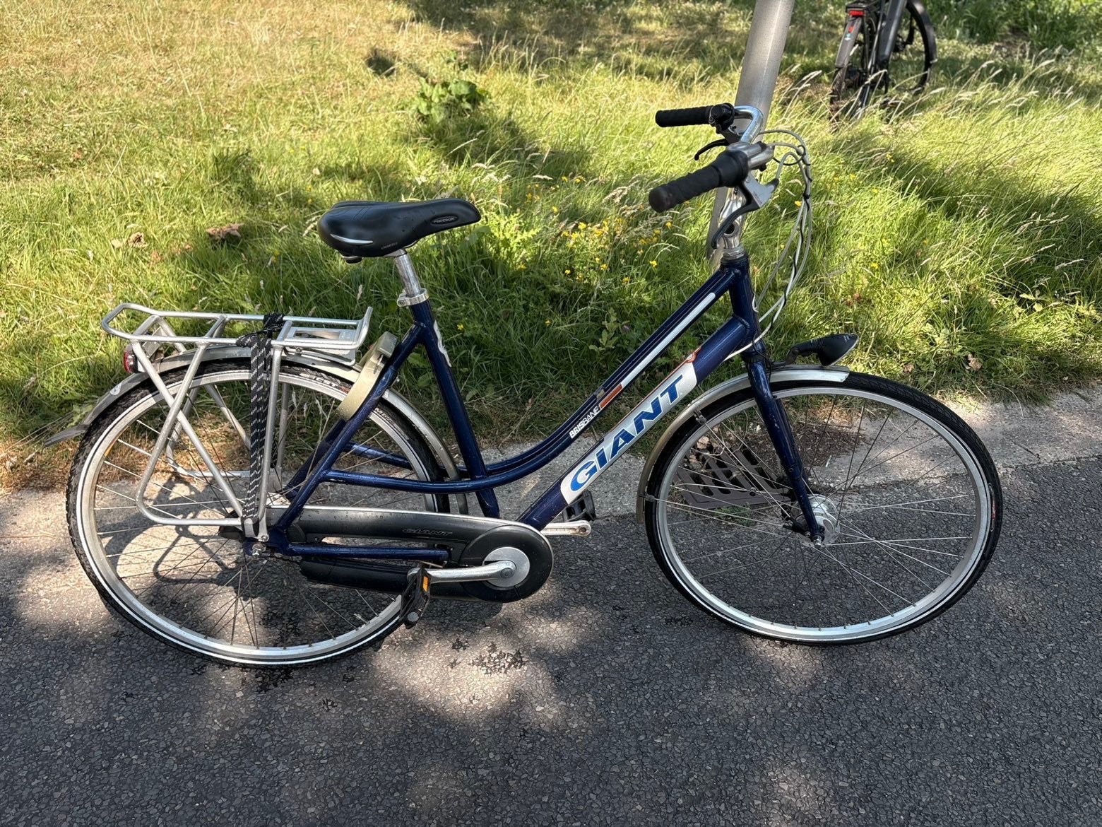Giant Brisbane damesfiets, Ophalen, Gebruikt, Velgrem, Versnellingen