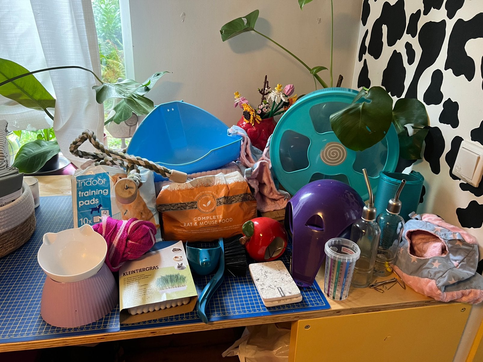 Gratis op te halen - knaagdieren/ratten spulletjes, Ophalen, Gebruikt, Overige typen