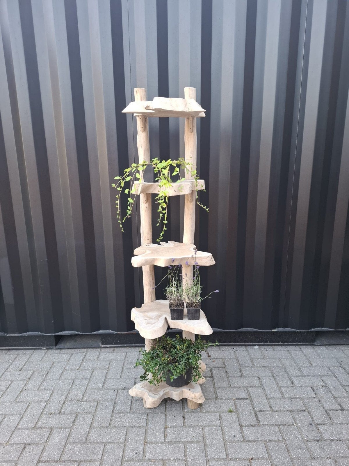 Unieke suar Plantenstandaard - 5 Niveaus, Ophalen, Nieuw, VH-DESIGN, Www.vh-design.nl