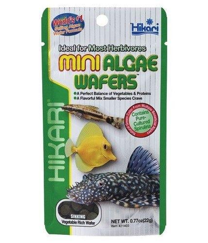 hikari mini algae wafers 22 gram €8,15, ., Overige typen, Nieuw, Ophalen of Verzenden