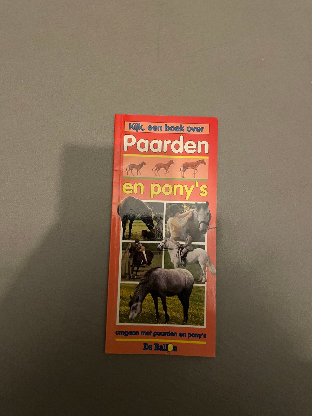 Pony's & paarden boek, Ophalen of Verzenden, Zo goed als nieuw, Paarden of Pony's