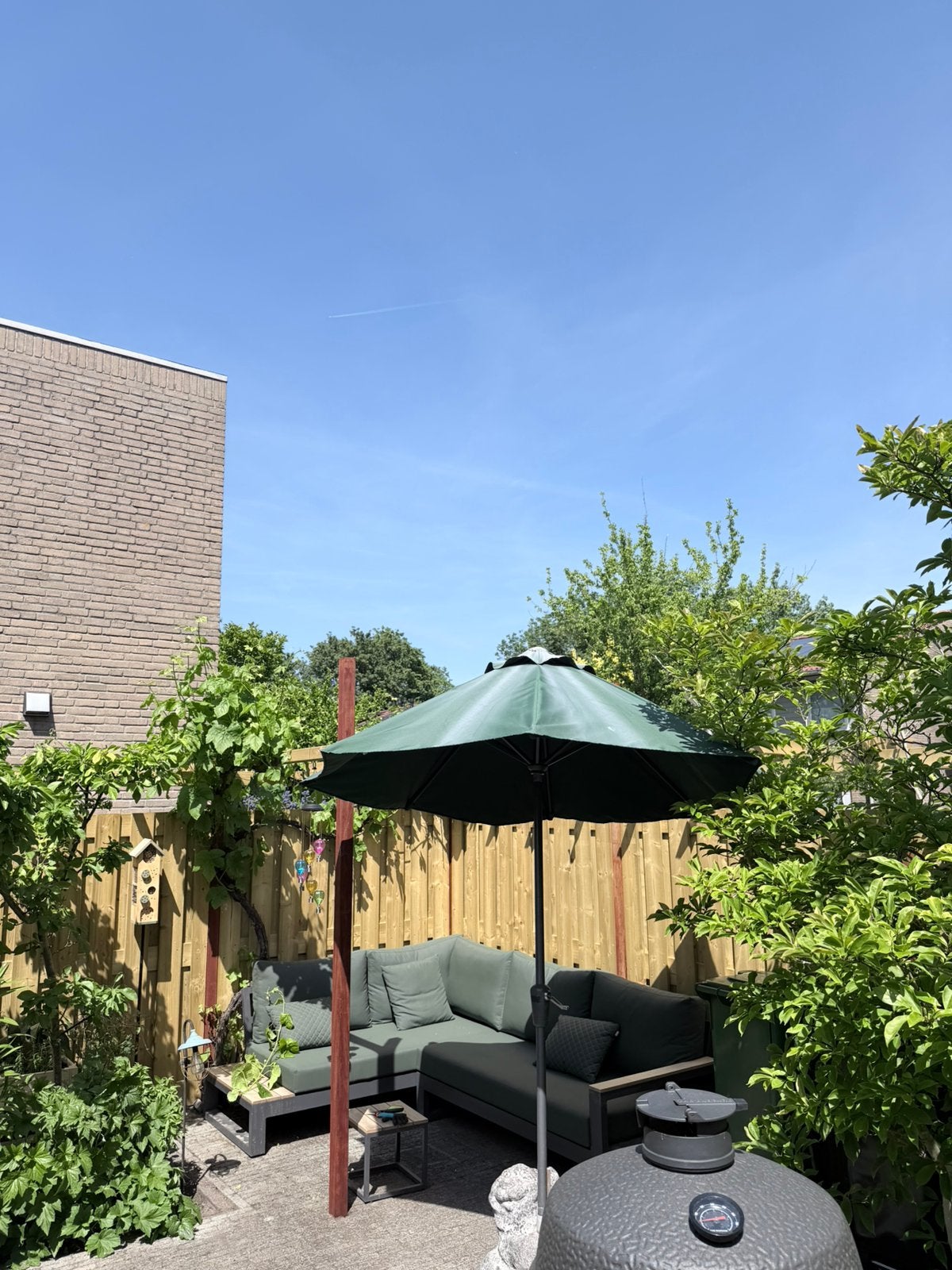 Parasol 250 doorsnee - groen, Ophalen, Gebruikt, 2 tot 3 meter, Stokparasol
