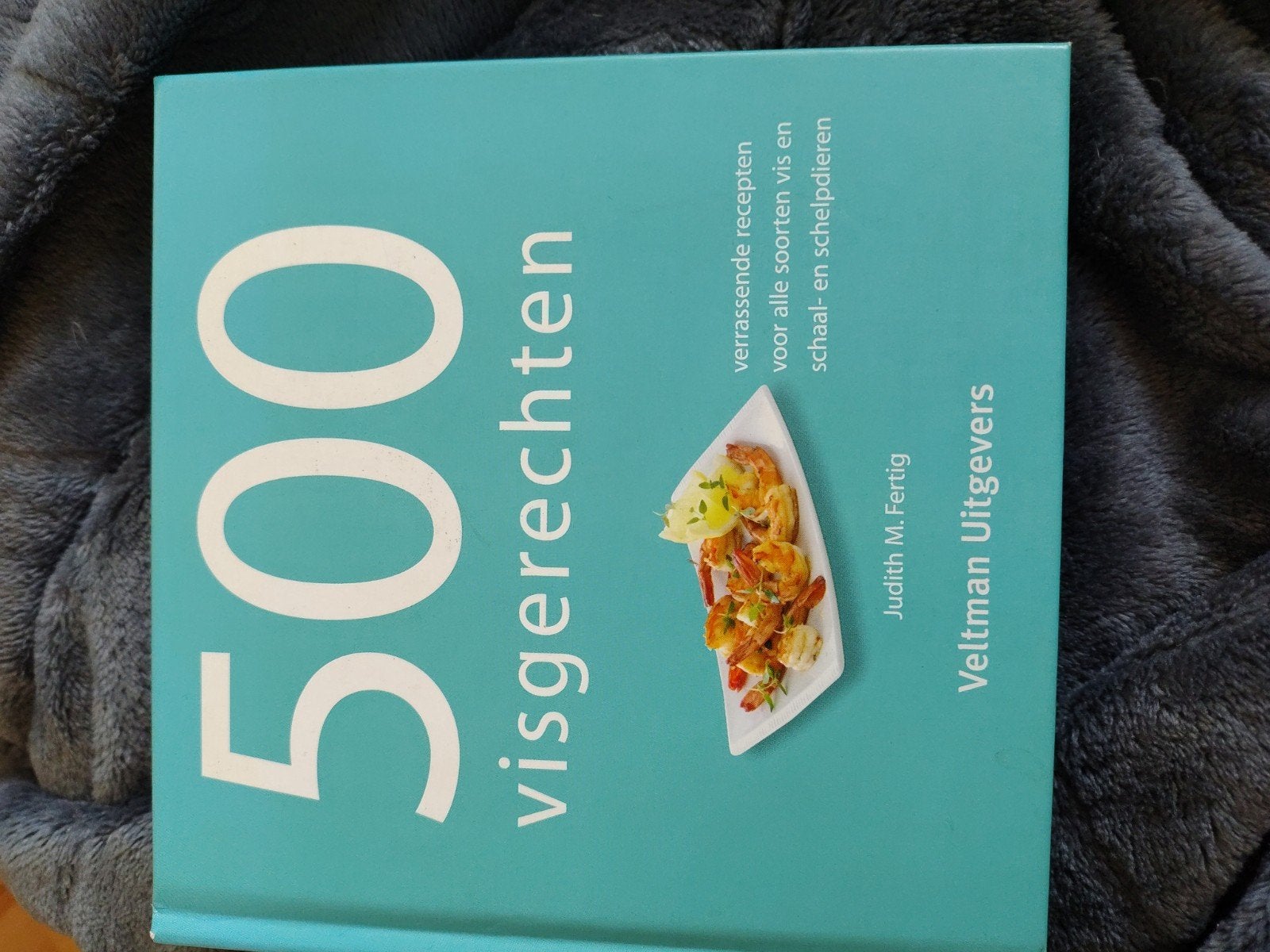 Judith Fertig - 500 visgerechten, Ophalen of Verzenden, Zo goed als nieuw, Judith Fertig