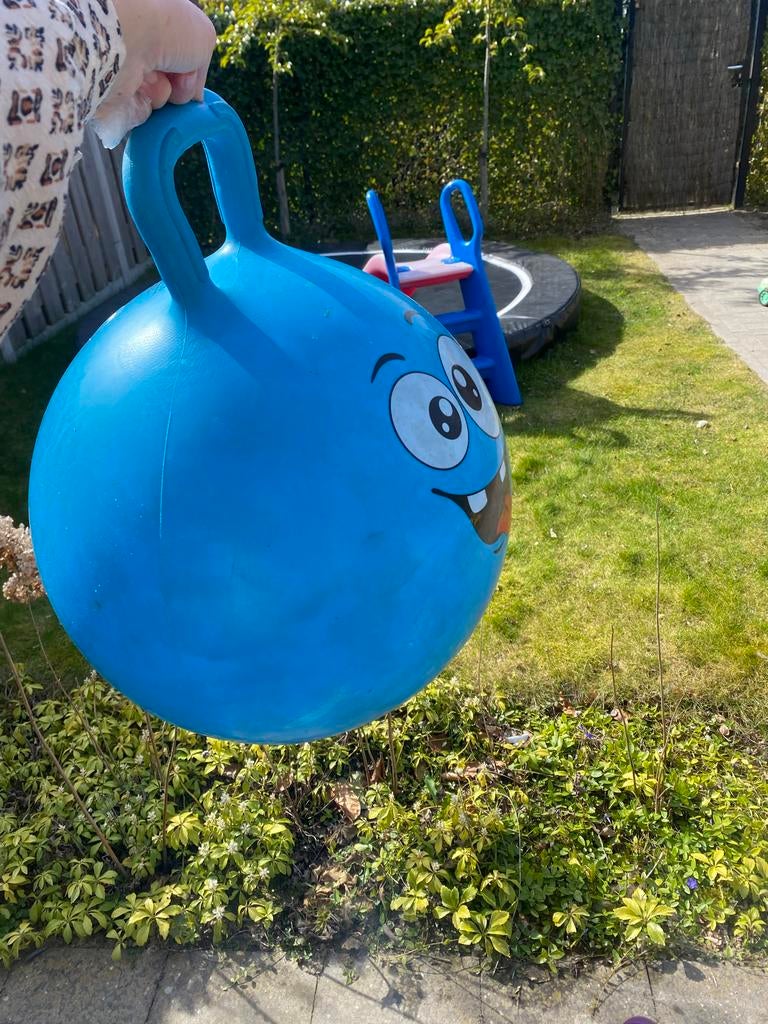 Blauwe skippybal, Ophalen, Gebruikt, Jongen of Meisje