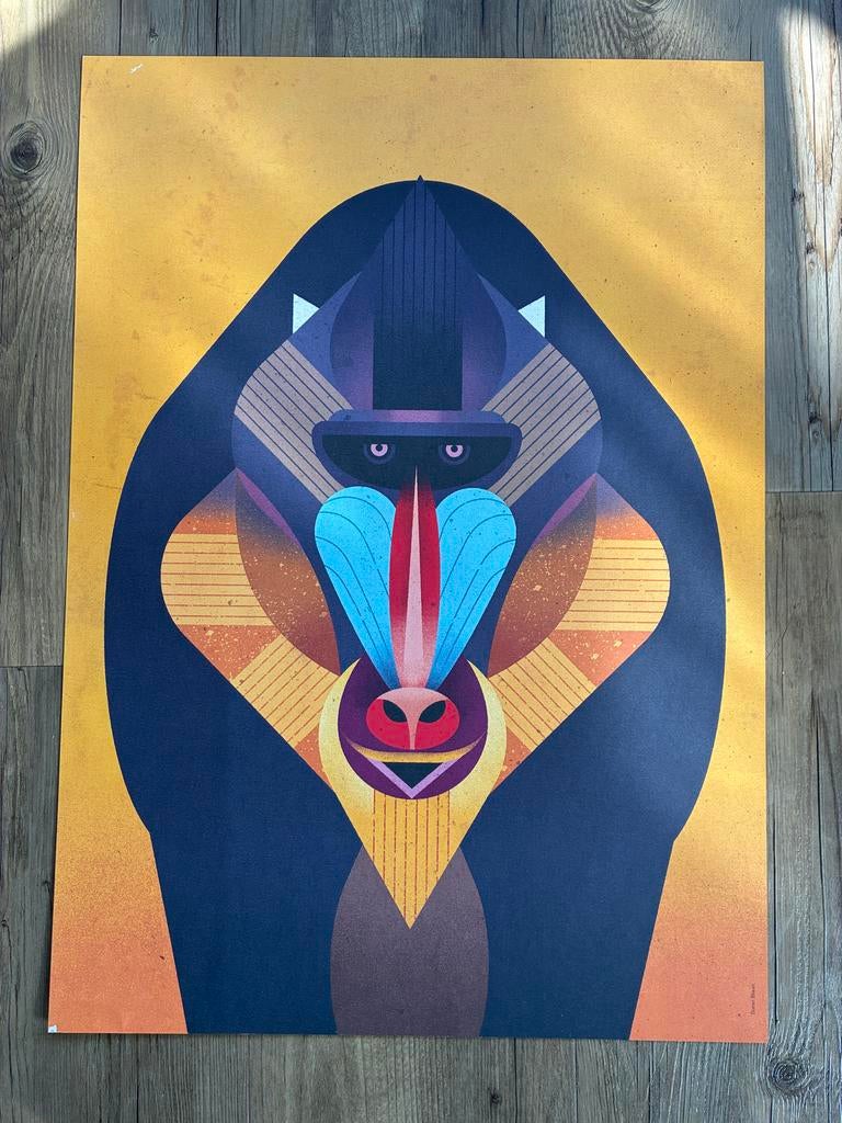 Poster Baviaan Kunstwerk 50x70 cm - Kleurrijk en Uniek, Verzamelen, Rechthoekig Staand, Nieuw, Ophalen of Verzenden, A1 t/m A3