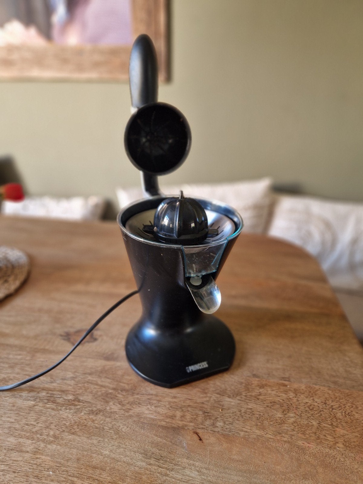 Princess Citruspers - Elektrische Juicer 300W, Ophalen of Verzenden, Gebruikt