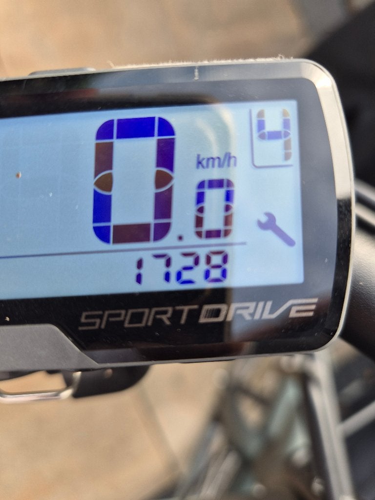 Foto 4 van Cortina elektrische fiets E-nite