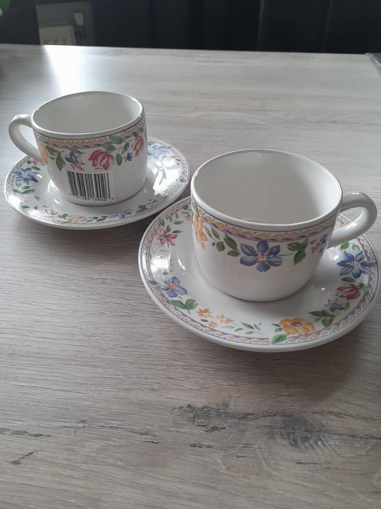 Nieuwe Robuuste Kop en Schotels, Peper en Zoutstel!, Nieuw, Ophalen of Verzenden, Overige stijlen, Kop(pen) en/of Schotel(s)