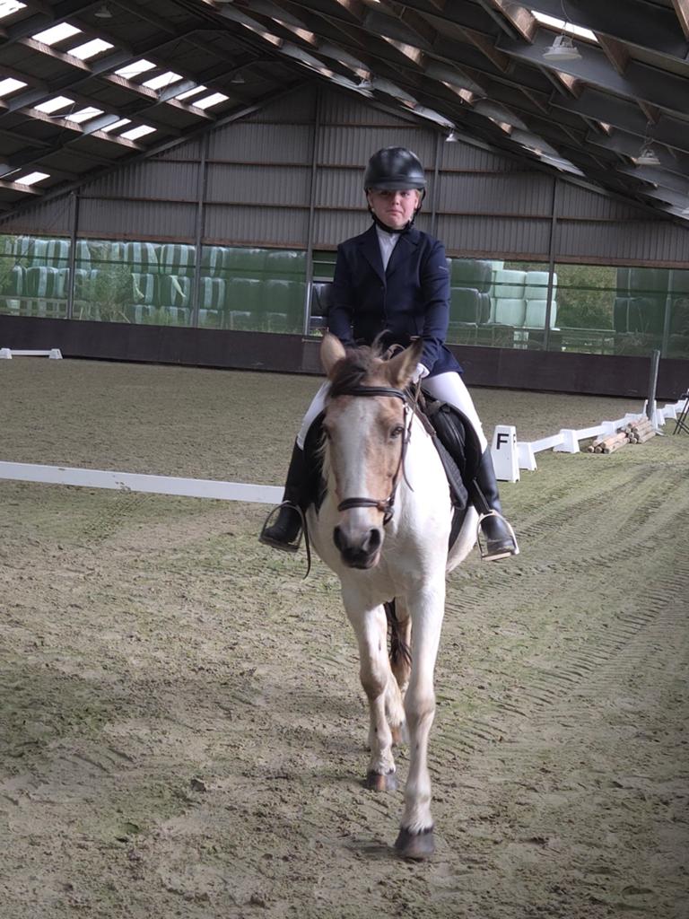 Verzorg pony gezocht omgeving Kudelstaart, Ophalen of Verzenden