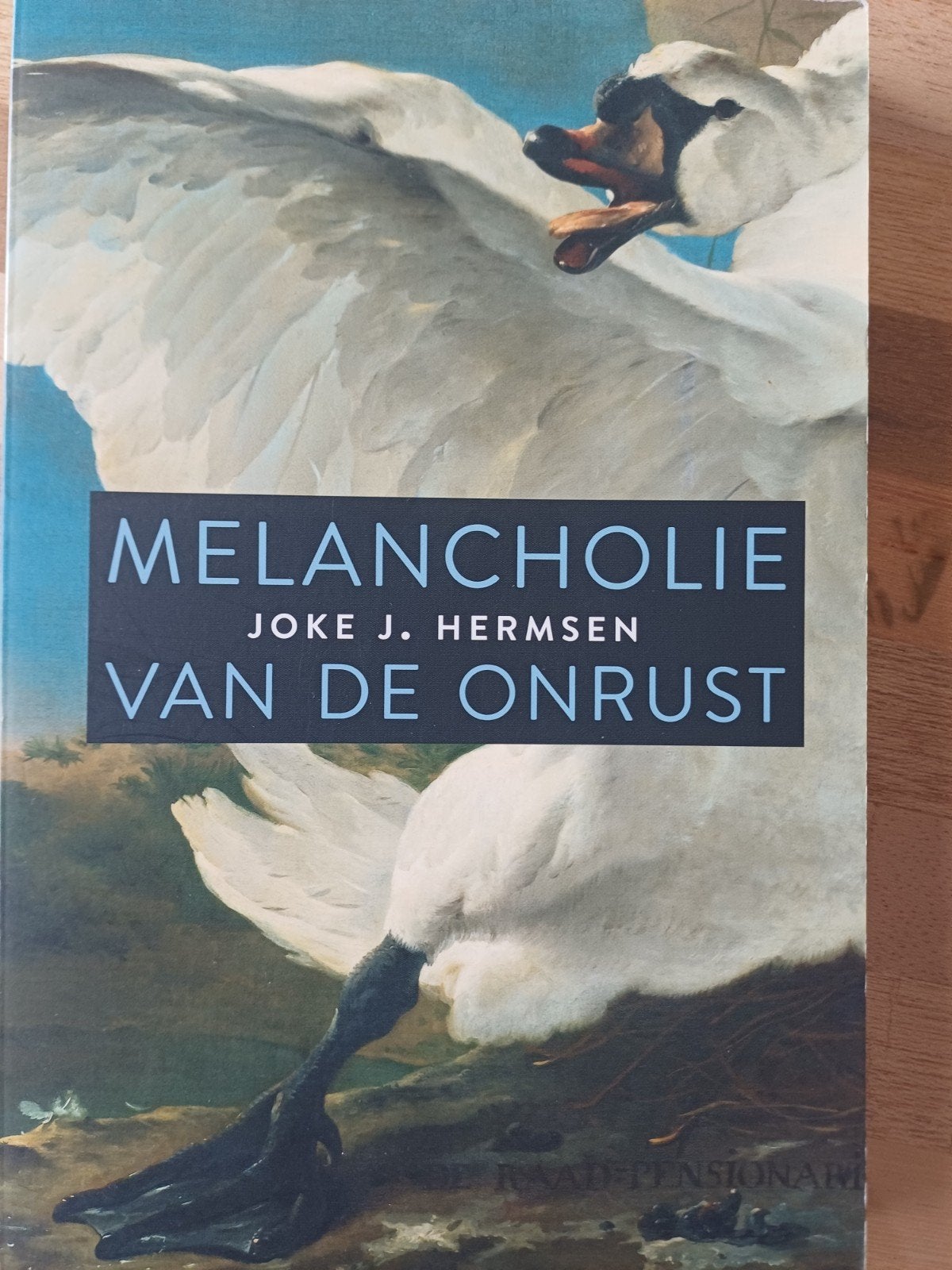 Joke J. Hermsen - Melancholie van de onrust, Ophalen of Verzenden, Zo goed als nieuw, Joke J. Hermsen
