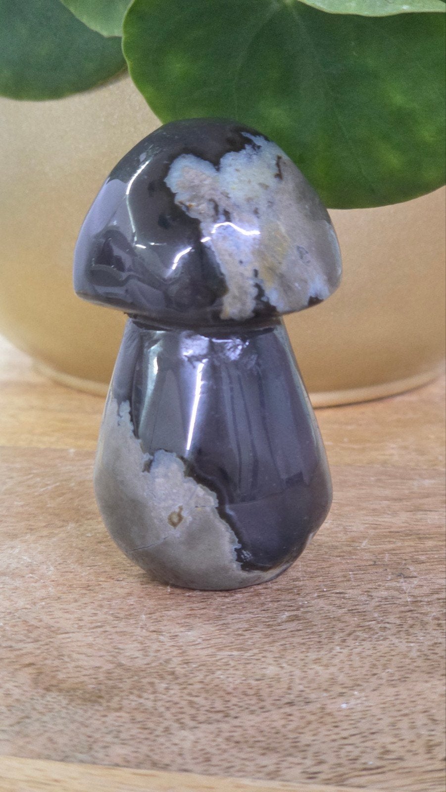Vulkaan Agaat Paddenstoel - 111 gram, 6,5 cm hoog, Ophalen of Verzenden