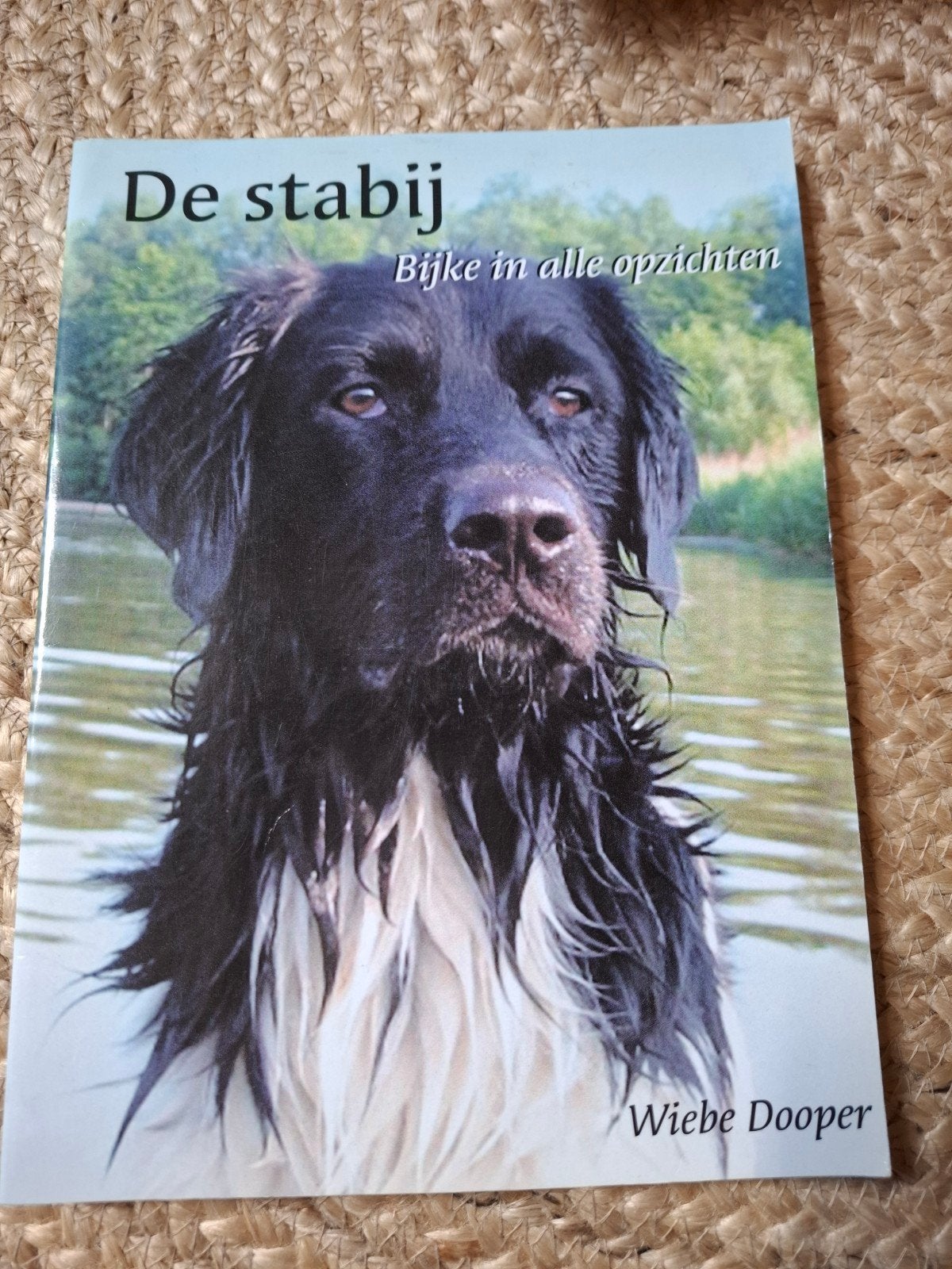 De Stabij: Bijke in alle opzichten - Hondenboek, Ophalen of Verzenden, Zo goed als nieuw, Honden, Wiebe Dooper