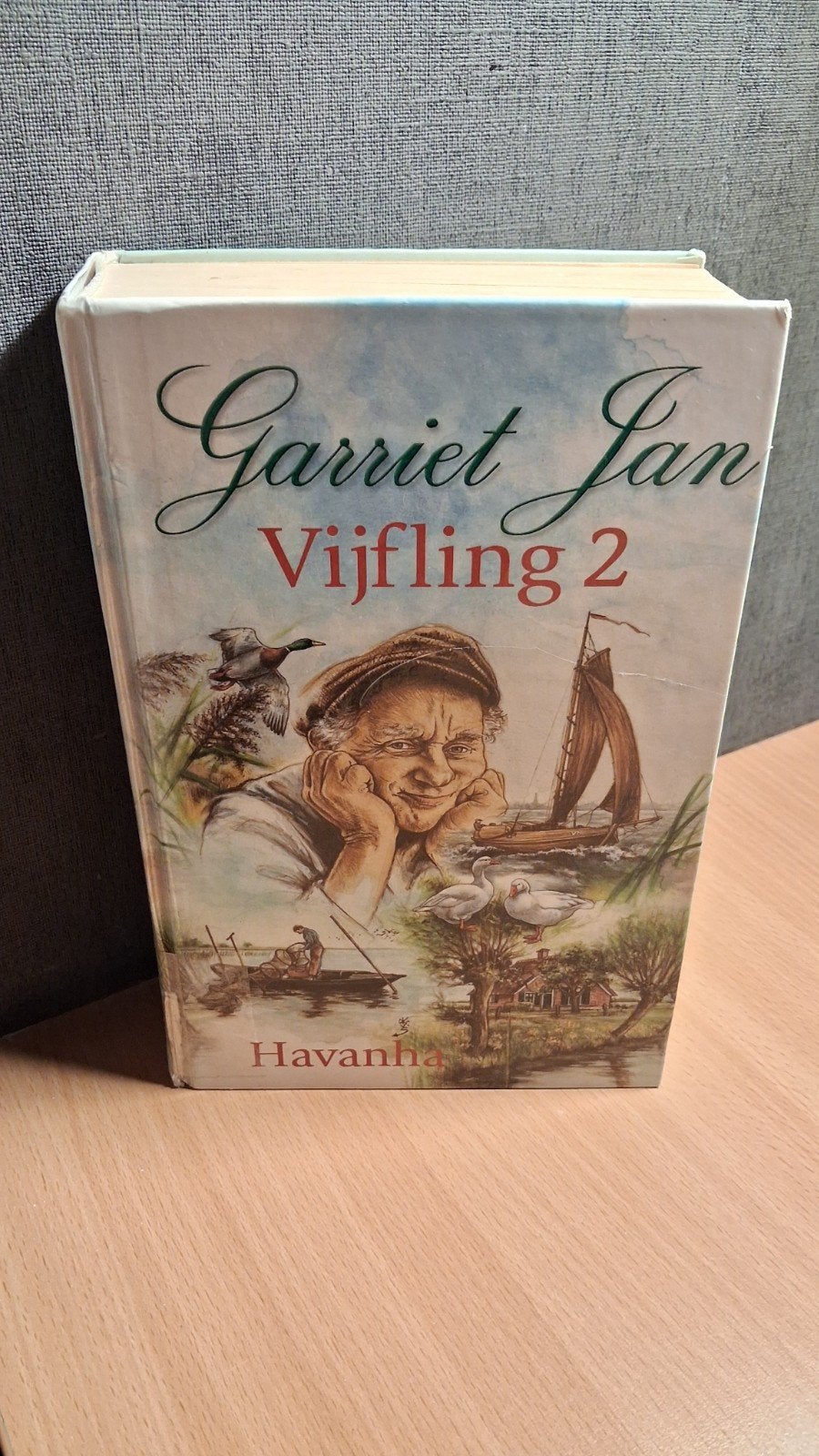 Garriet Jan Vijfling 2 - Havank - Plattelandsleven, Ophalen of Verzenden, Zo goed als nieuw, HAVANK (H. van Heerde), Nederland