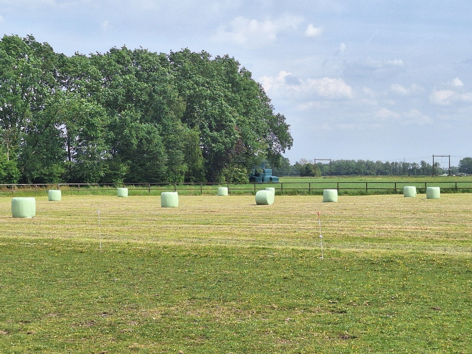 Te koop 20 midi hooibalen, Dieren en Toebehoren, Stalling en Weidegang