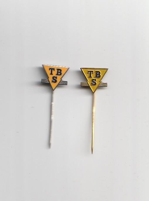 2 speldjes ( 1 emaille ) van TBS Soest putdeksels etc, Verzamelen, Ophalen of Verzenden, Gebruikt, Overige onderwerpen, Speldje of Pin