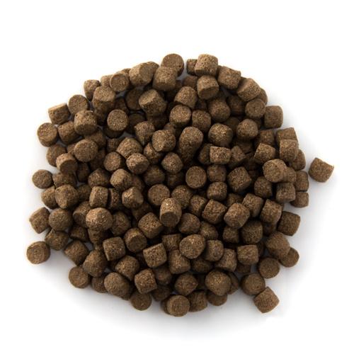 Top Koi 15kg - Alltech Coppens - Top kwaliteit, Karper of Koi