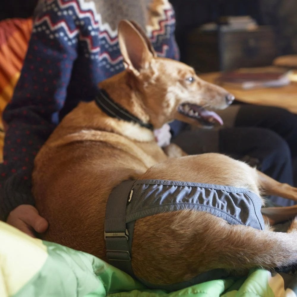Hurtta Breezy Hygiene Pants / Loopsheidbroekje, Dieren en Toebehoren, Ophalen of Verzenden, Nieuw