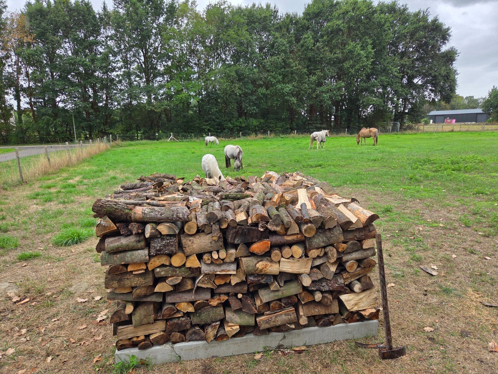 haardhout, stookhout, 6 m³ of meer, Ophalen of Verzenden, Overige houtsoorten, Blokken
