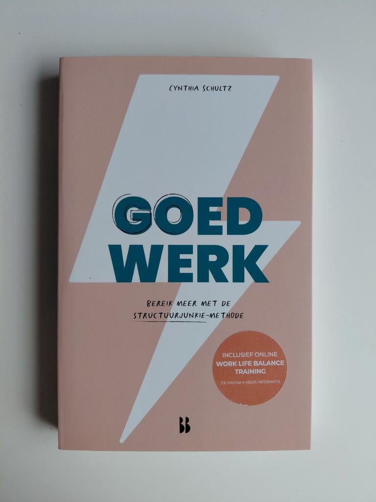 Cynthia Schultz - Goed werk, Sociale wetenschap, Ophalen of Verzenden, Zo goed als nieuw, Cynthia Schultz