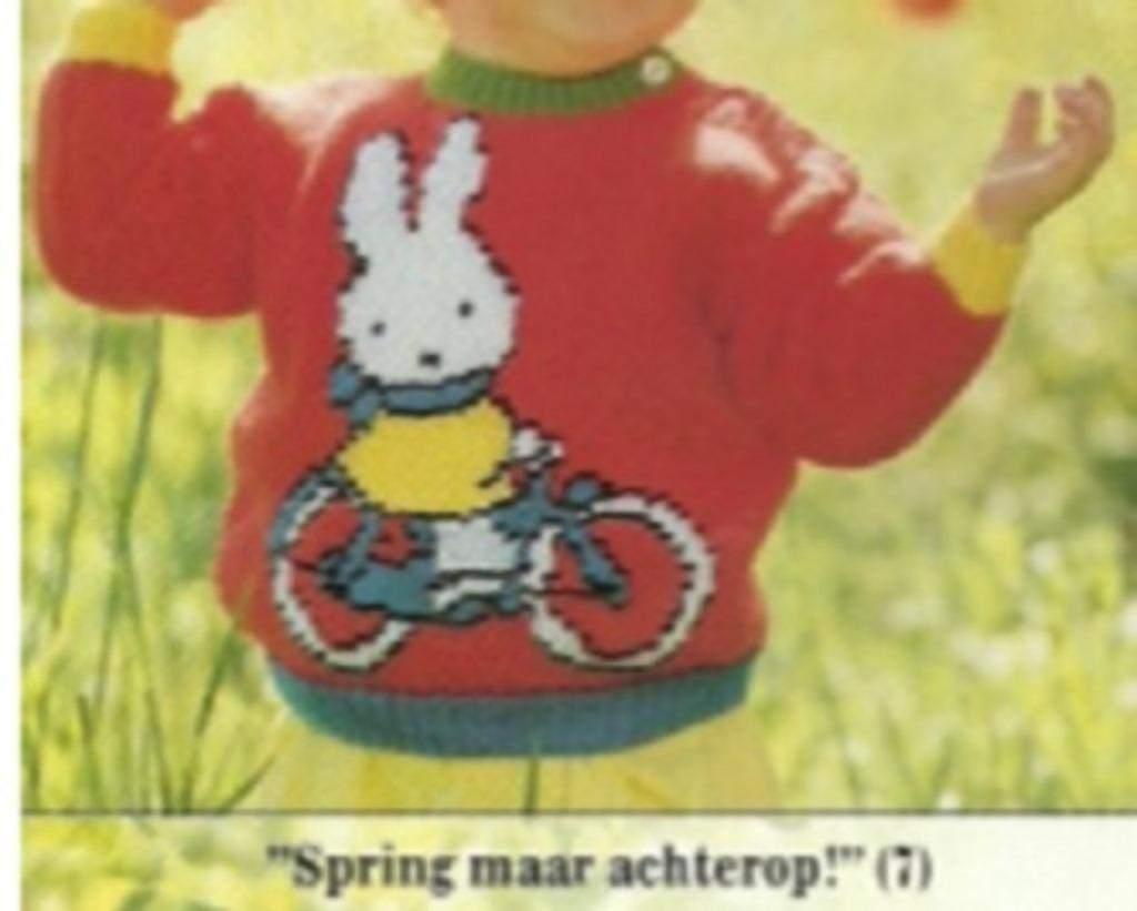 Nijntje op de fiets trui breipatroon, Hobby en Vrije tijd, Breien en Haken, Ophalen of Verzenden, Zo goed als nieuw, Breien, Patroon of Boek