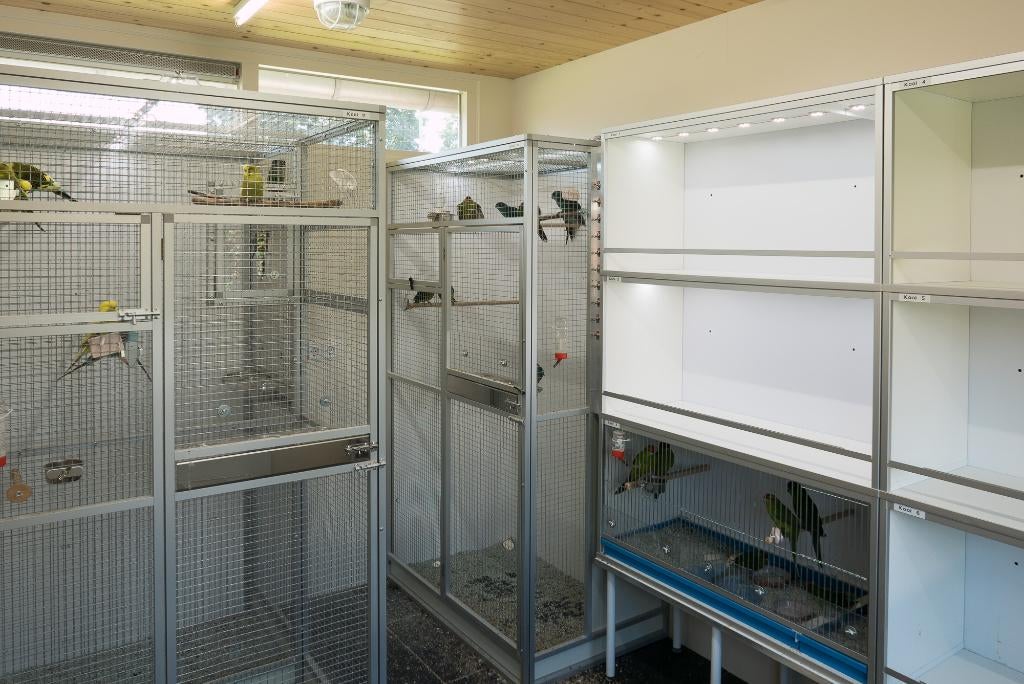 Parkieten, Papegaaien huisvesten; Avicultuur-LED verlichting, Dieren en Toebehoren, Vogels | Parkieten en Papegaaien, Meerdere dieren