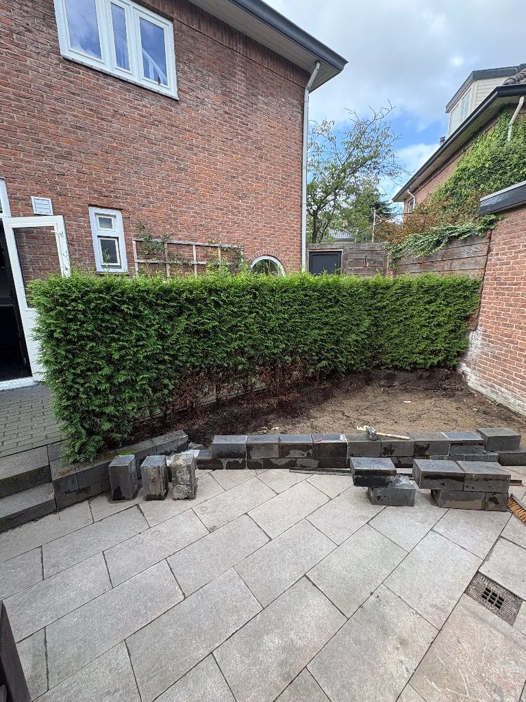Gratis coniferenhaag (5,70 lang X 1,50 m hoog), Ophalen, Conifeer, Haag, 100 tot 250 cm