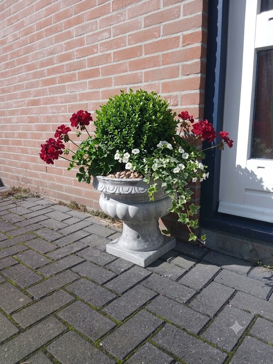 Decoratieve betonnen bloempot voor buiten, Tuin en Terras, Ophalen, Gebruikt, 40 cm of meer, Rond