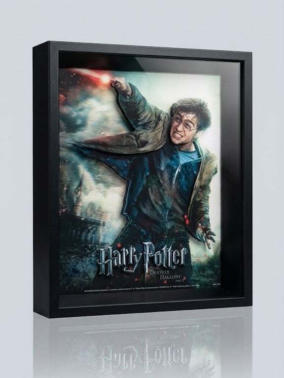 Partij Ingelijste 3D-wanddecoratie van Harry potter, NHP International, Overige typen, Nieuw, Ophalen of Verzenden