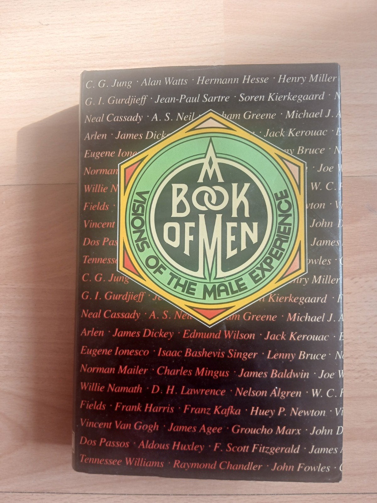 Visions of the Male Experience - Boek, Ophalen of Verzenden, Zo goed als nieuw, Diverse auteurs, Amerika
