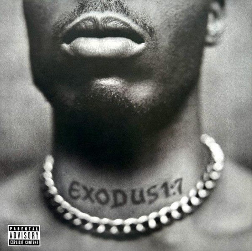 DMX – Exodus | LP, Inclusief binnenhoes, Ophalen of Verzenden, Nieuw in verpakking, 12 inch