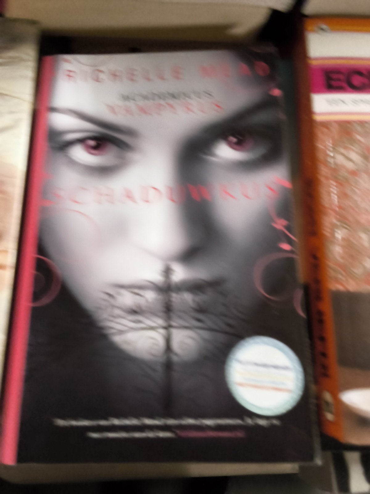 Schaduwkust - Richelle Mead (Vampire Academy) e.a.., Ophalen of Verzenden, Gelezen, Richelle Mead, Nederland