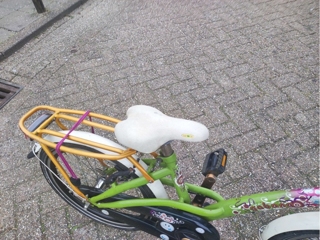 Batavus Gabana meisjes 20 inch en nog een 20 inch, Gebruikt, 20 inch, Niet ingevuld, Ophalen