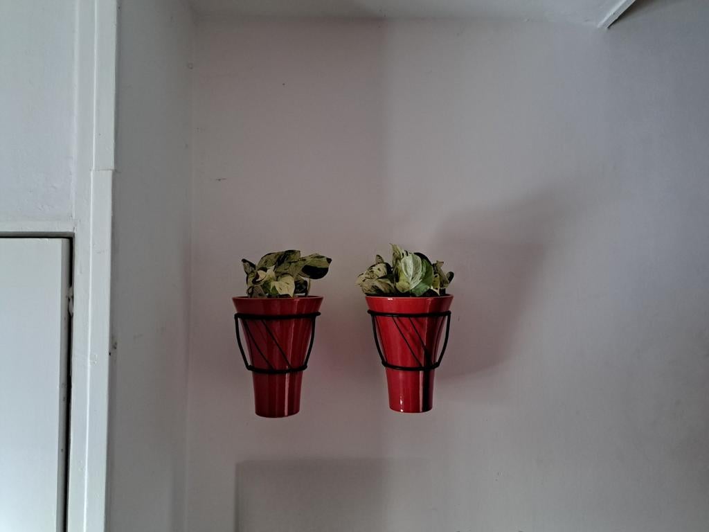 Leuke set, Ophalen