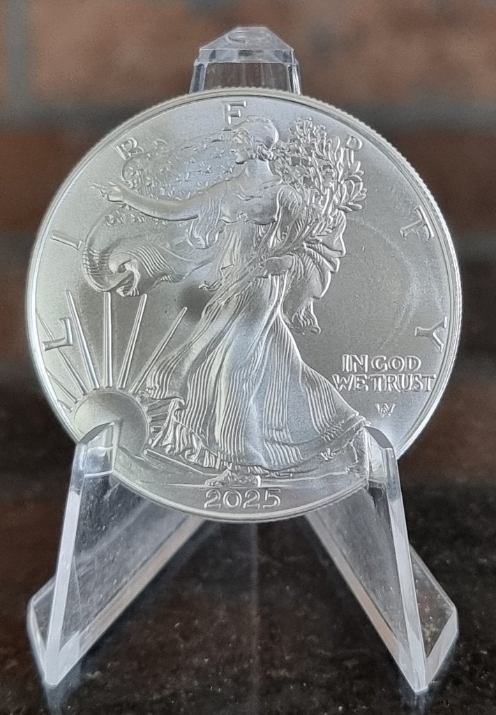 Tube American Eagles 20 x 1 oz .999 zilveren munten., Ophalen of Verzenden, Zilver