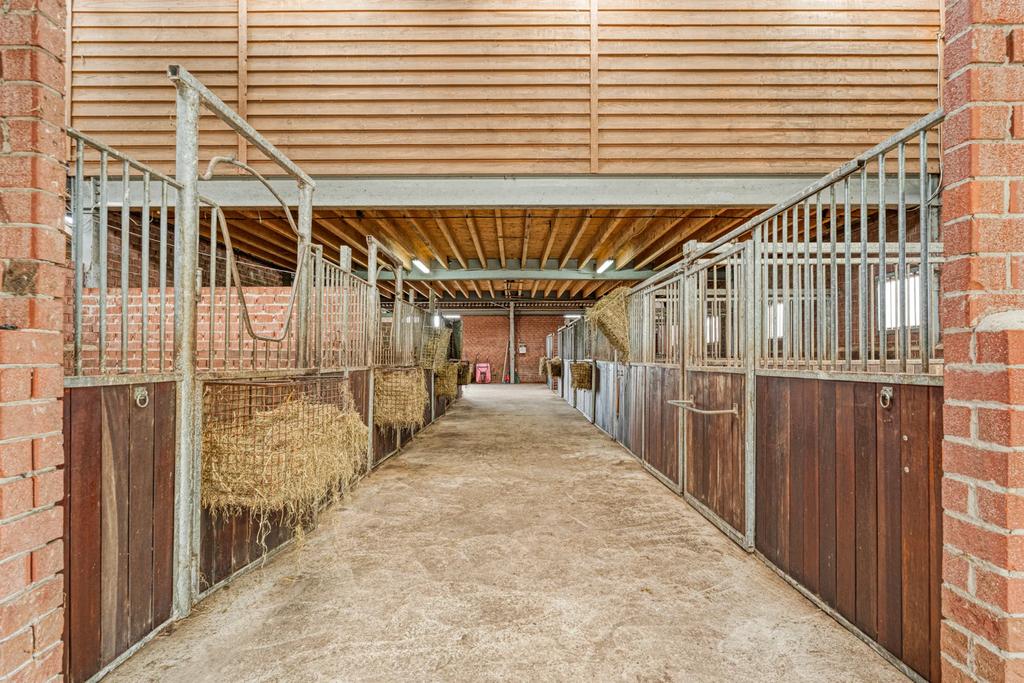 Vakantie stalling voor uw paard/pony, Dieren en Toebehoren, Weidegang