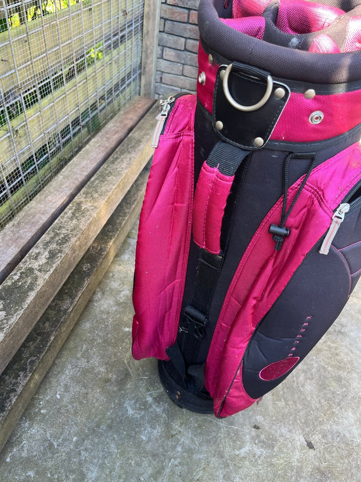 Penn Golfset (ijzer 5-S, putter) met golftas, Ophalen, Gebruikt, Set, Overige merken