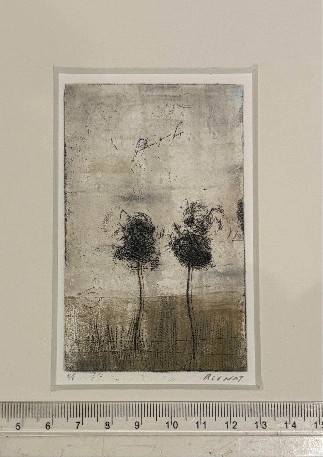 Originele kleurets Rien van der Nat - Landschap, Antiek en Kunst, Ophalen of Verzenden, Landschap, 1950 - 1999, Genummerd